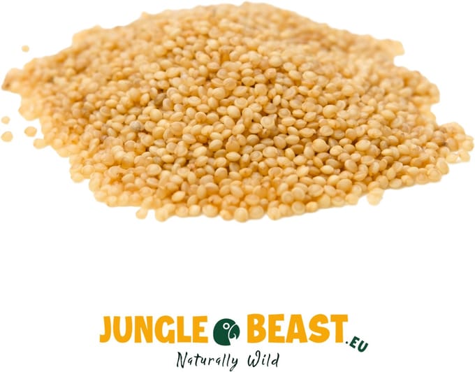 Jungle Beast | Amaranthzaad | Vogels | Papegaaien