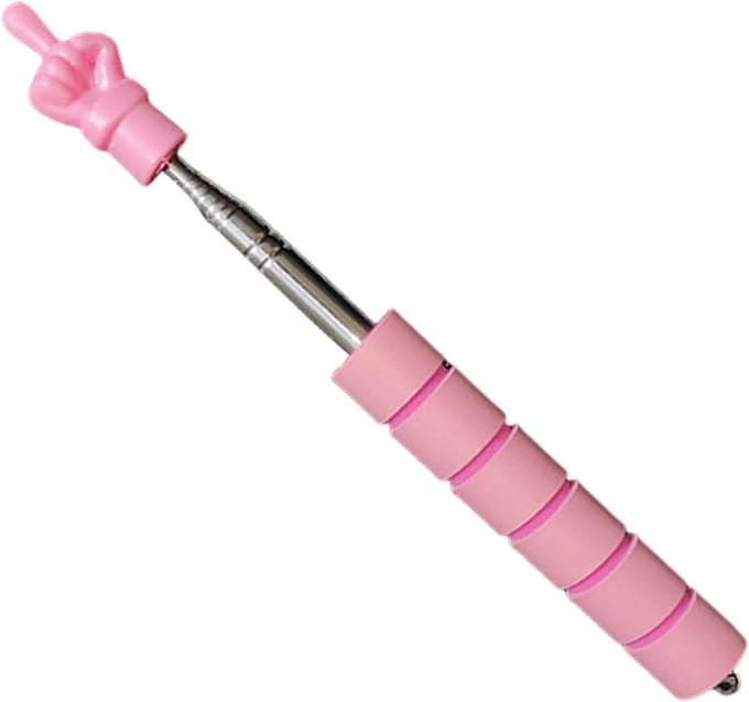 Leswijzer Stok - Lees Staf - Interactief Leren - Aanpasbare Lengte - 26 cm - Zilverkleurig