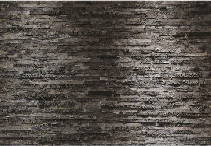 Komar Fotobehang Birkenrinde 368x254 cm 8-700