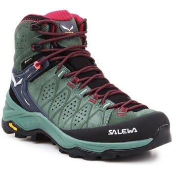 Dameswandelschoenen Salewa Ws Alp 2