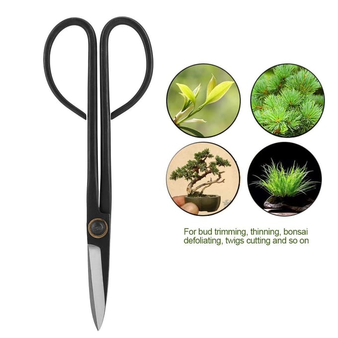 205mm Lange Handgreep Bonsai Schaar Snoeischaar Knop Bladeren Snoeigereedschap Tuinuitrusting black