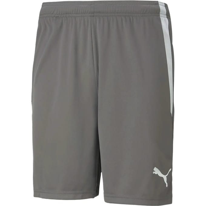 Kort Puma Team Liga