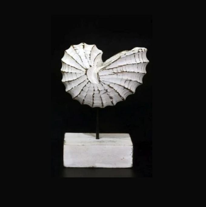 Houten schelp beeld antique white L