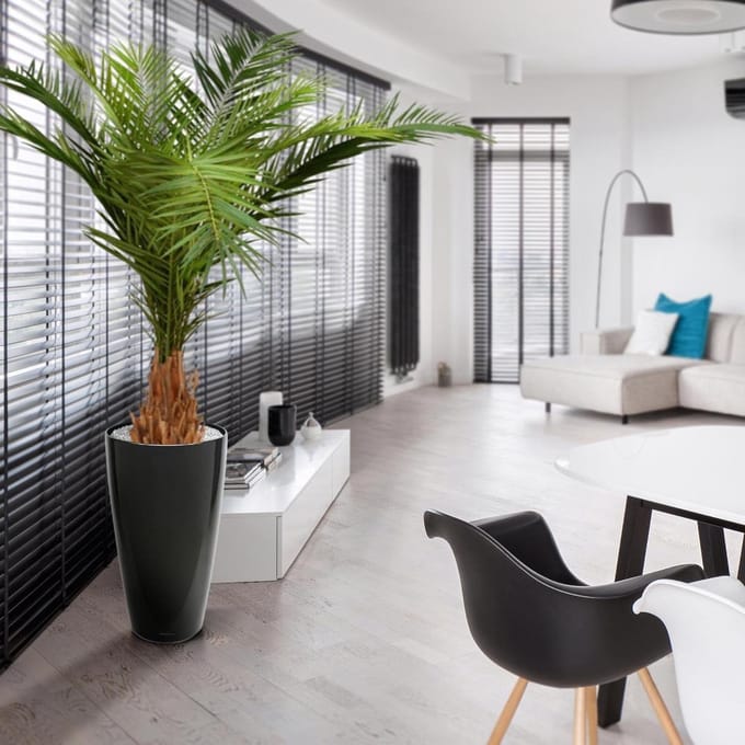 Canarie Phoenix kunstpalm deluxe 210 cm