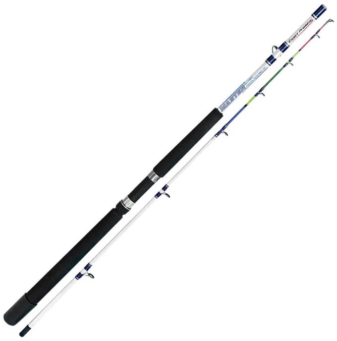 Expert Predator Master Bodemvissen Hengel Zilver 2.10 m / 100-180 g