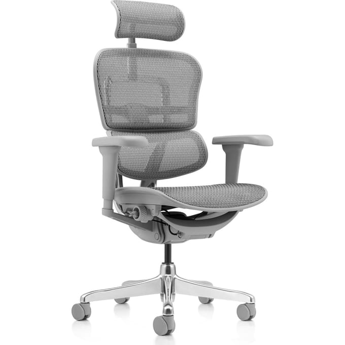 Bureaustoel / directiestoel ERGOHUMAN ULTRA G GEN2 mesh grijs hjh OFFICE