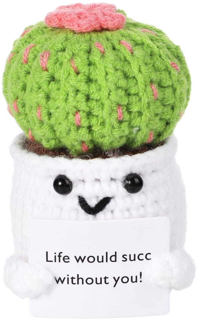 Dailygoods- Cactus Gehaakt Speelgoed - Positieve Cadeau Decoratie