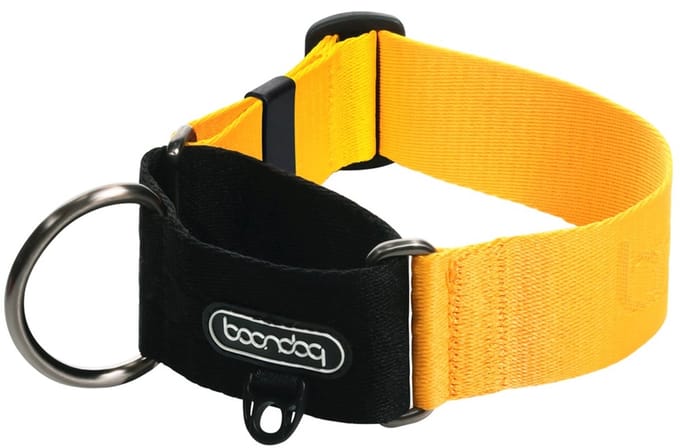 Boondog - Martingale Wide Collar - Yellow - M