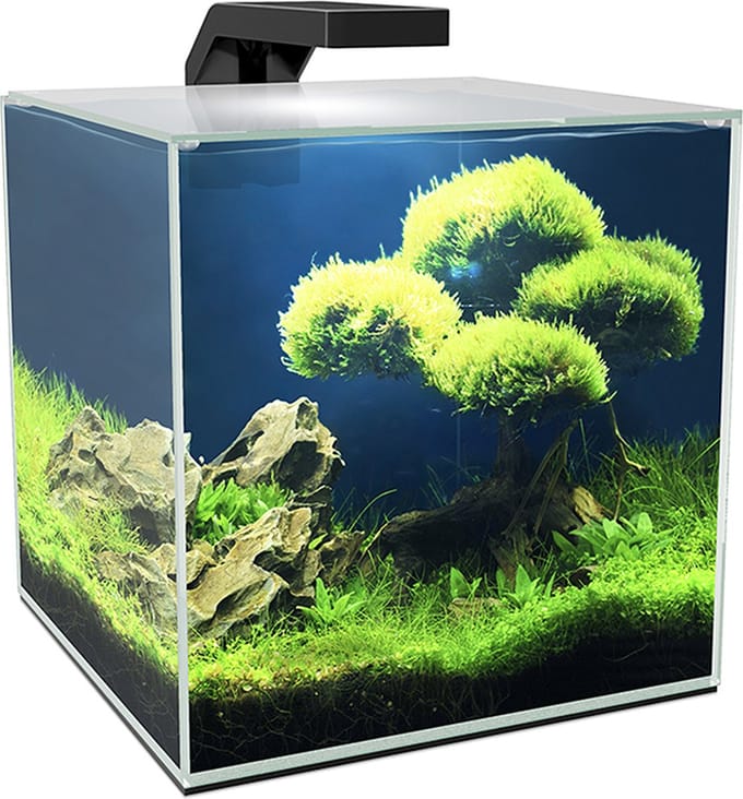 Ciano - Aquarium - Vissen - Ciano Aquarium Cube 10 Led 9,5l - 22x22,8x26,2cm - 1st