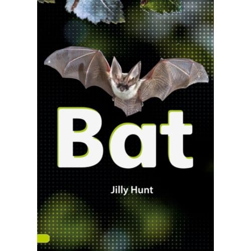 Bat (Set 02) - Striders Phonics Readers - Hunt, Jilly