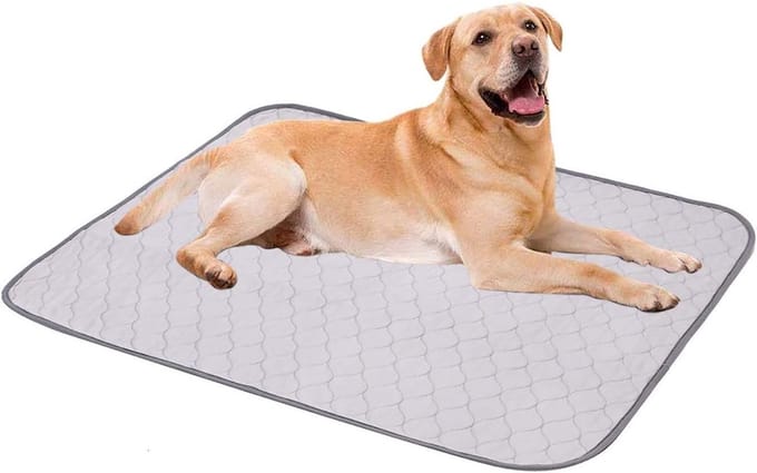 Waterdichte Hondemat - Antislip Puppy Training Pads, Wasbare Hond Plasmatten, 45x60 cm, Grijs, Ideaal voor Training en Comfort