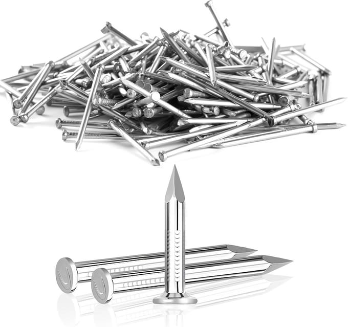 Solidchoice - Set van 200 Gegalvaniseerde Stalen Spijkers van 20 mm