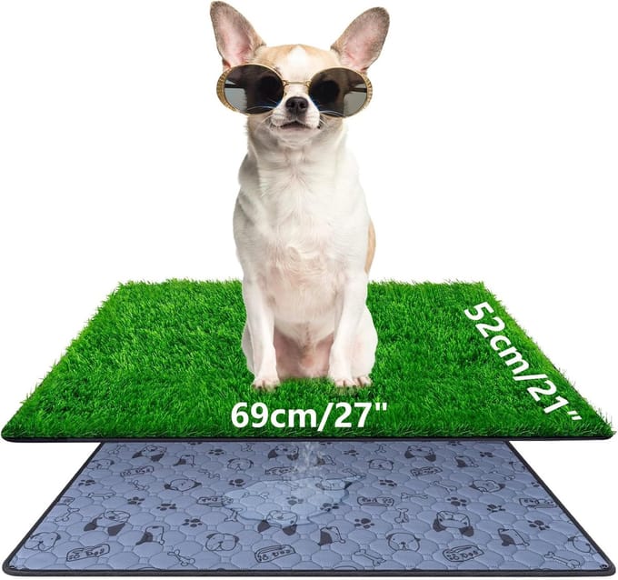 Hondenpotje Gazon - Plasmat - Zindelijkheidstraining - Superieure drainage - 69x52 cm - Groen