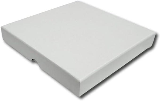 Platen Verzamelbox - Vinyl Opslag - Singles Beschermen - Stevig Karton - 10 Singles - Wit