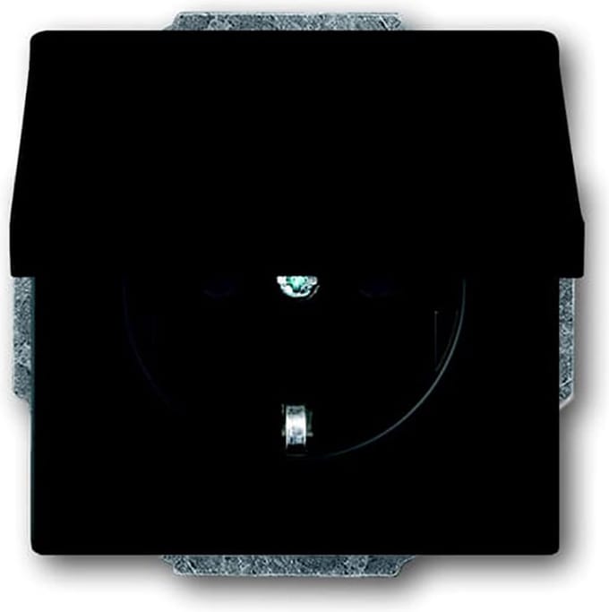 ABB Busch-Jaeger Future Wandcontactdoos (WCD-Schakelmateriaal) - 2CKA002018A1495 - E2Q9V