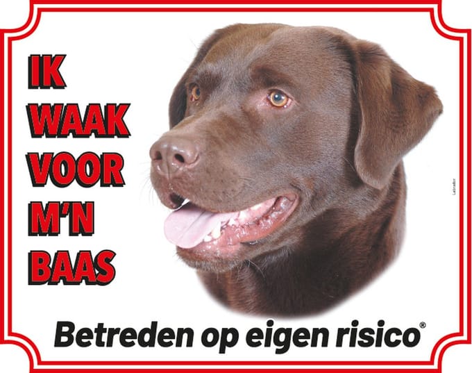Waakbord 09 Labrador Bruin 20x25cm
