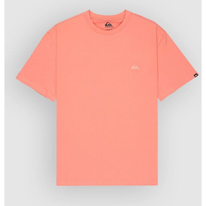 Quiksilver Salt Water T-Shirt