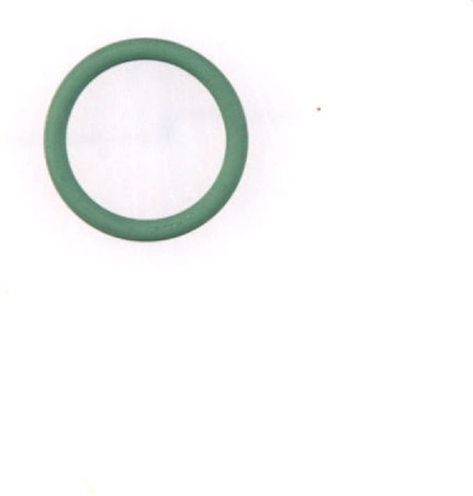 Gloria O-ring