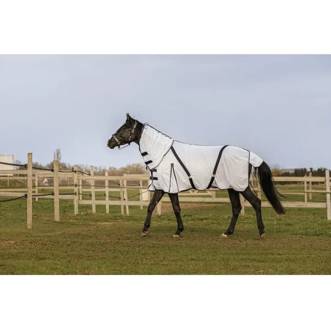 Vliegenmasker voor paard van gaas Equithème Combo