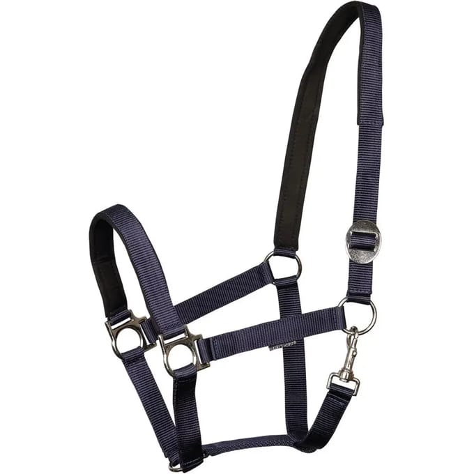 Gewatteerd paardenhalster Harry's Horse