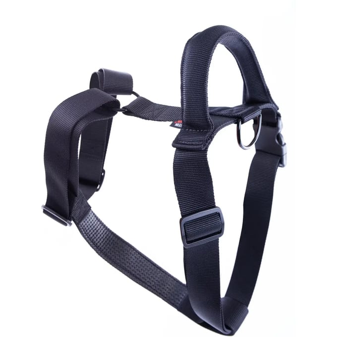 Hondentuig Martin Sellier XL
