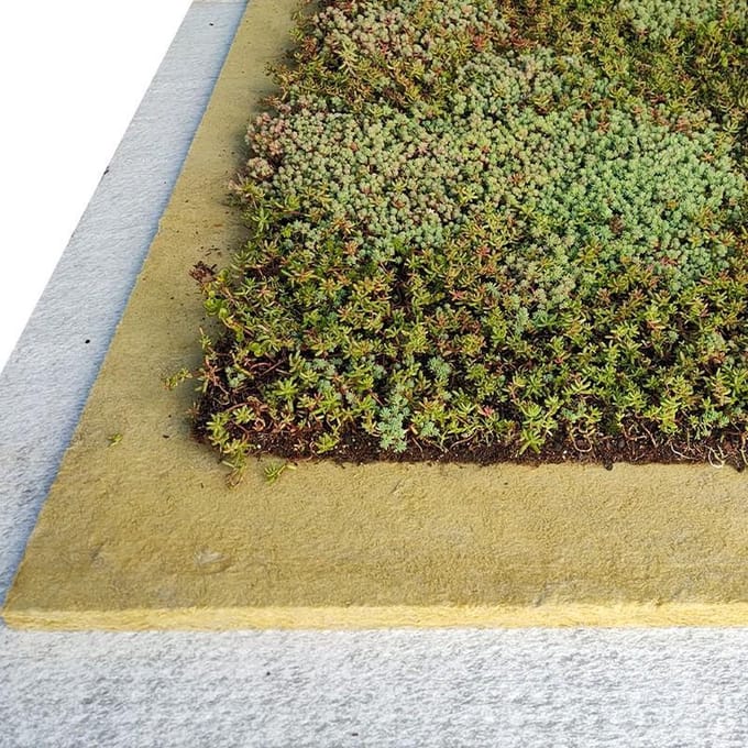 Groen Dak Compleet Lichtgewicht groen dak pakket (5 m2)