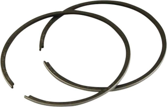 Segment de piston Polini pour Moto Rieju 50 RS2 Neuf