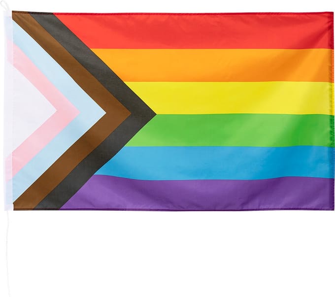 Polyester vlag Progress LGBTQ+ Pride.