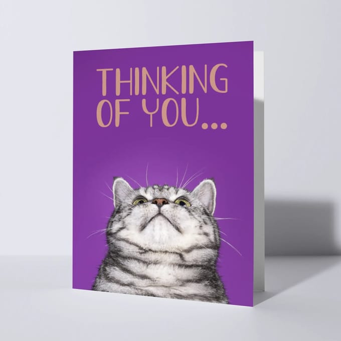 CAT'CHY Cards - wenskaart - denken aan - kat