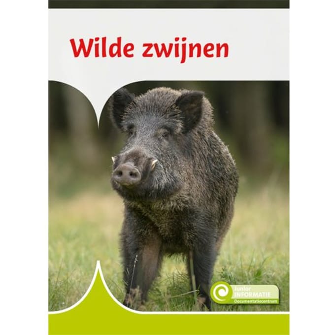 Wilde Zwijnen - Junior Informatie - Geert-Jan Roebers