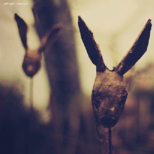 Still Light - Rosarium (3 LP)