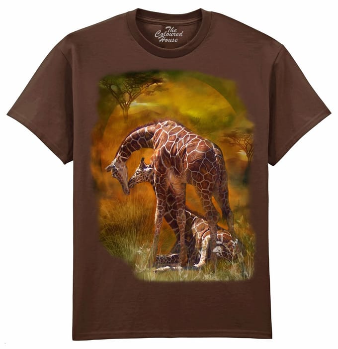 Giraffe World The Coloured House T-shirt M