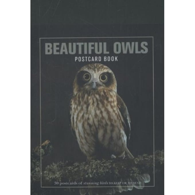 Beautiful Owls Postcard Book
