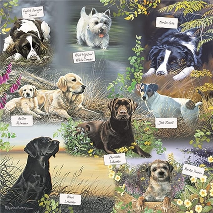 Legpuzzel - Honden Puzzel - Ontspannen Puzzelen - 1000 Stukjes - 26x19 cm - Multicolor