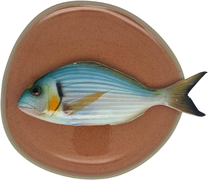Orata medio op brique organische vorm bord, 20cm