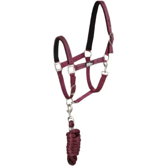 Halster en touwset voor paarden Supreme Reflective