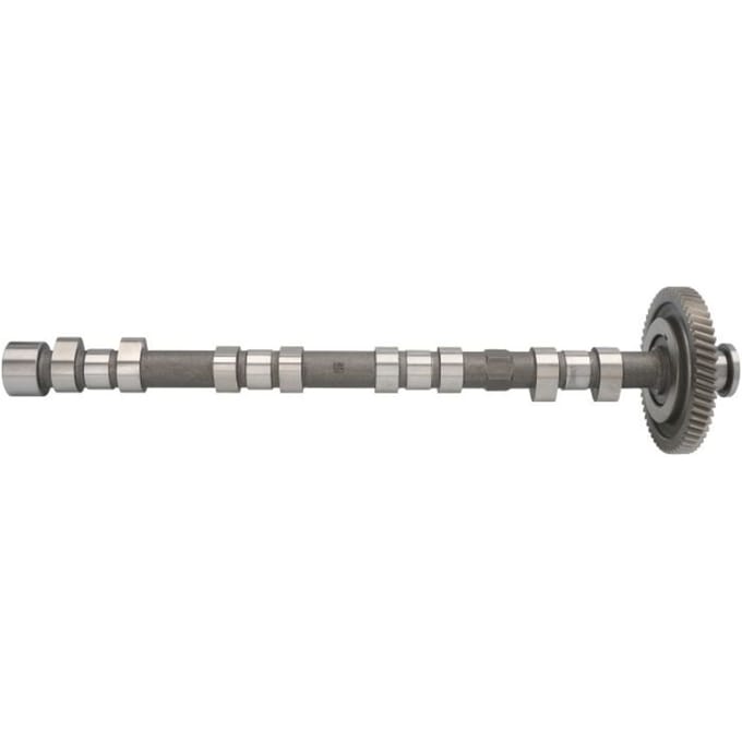 Nokkenas  AE CAM974