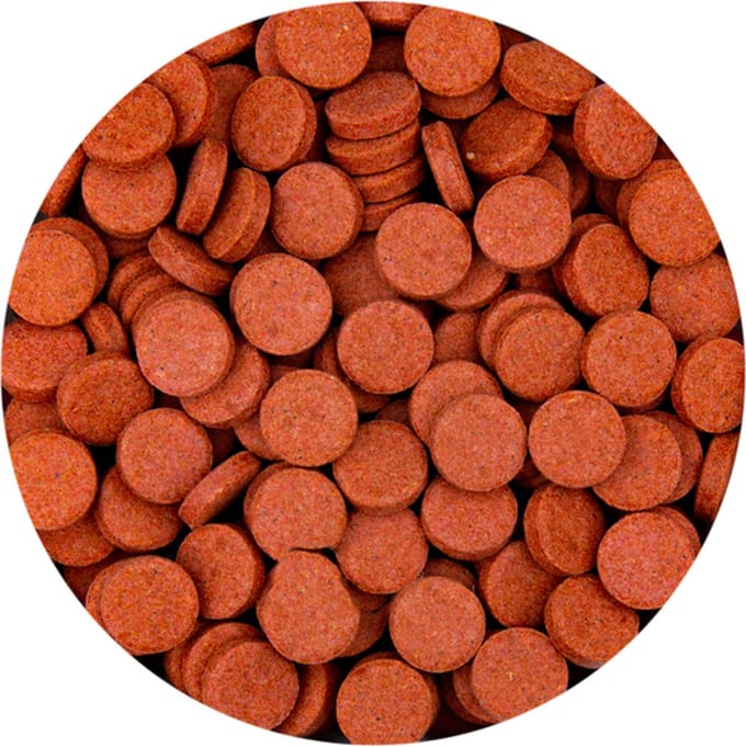 Tropisch visvoer - Funtips - Kleeftabletten - 100 ml