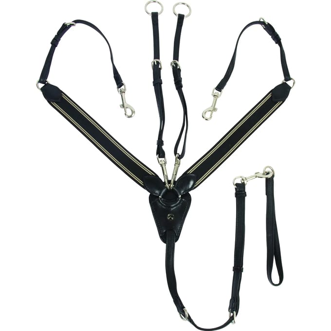 Martingale voor paarden Catago