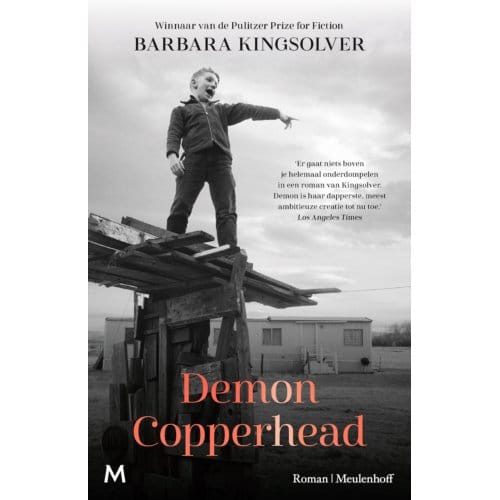 Demon Copperhead - Barbara Kingsolver