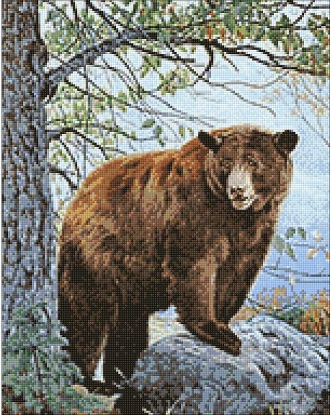 Wizardi Diamond Painting Kit BROWN BEAR WD083