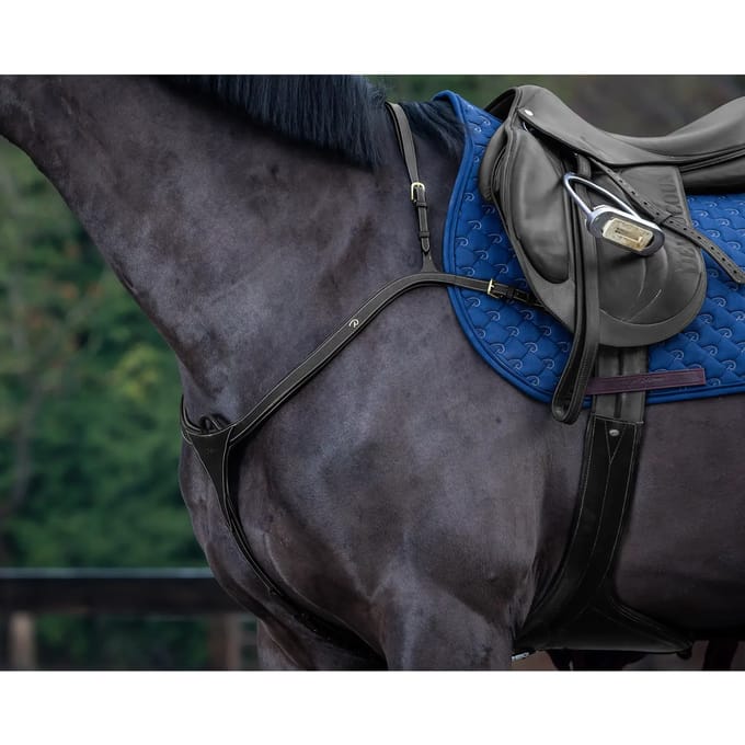 Jachthalsband met lange brug voor paarden Dy'on