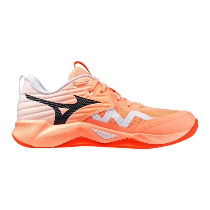 Indoor schoenen Mizuno Wave Momentum Pro
