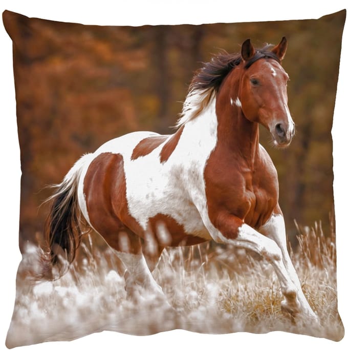 Sierkussens - Kussentjes Woonkamer - 40x40 cm - Paard - Bruin - Gras