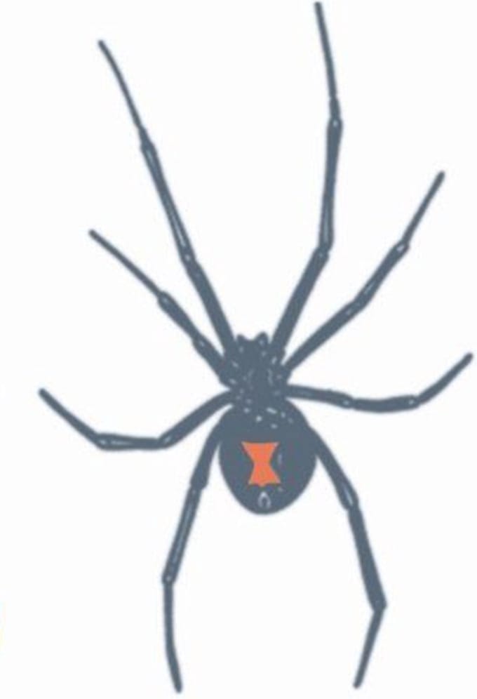 Partychimp Neptatoeage Black Widow 10 Cm Polyester Zwart/rood