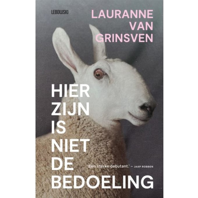Hier Zijn Is Niet De Bedoeling - Lauranne van Grinsven