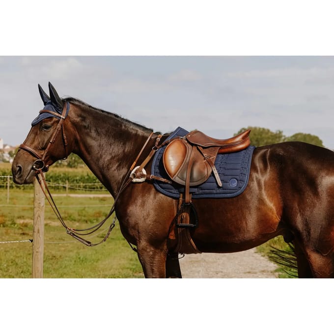 5-punts jachthalsband voor paarden Norton Pro