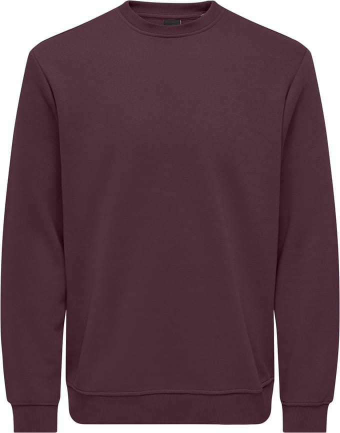 ONLY&SONS - ONSCONNOR LIFE REG CREW NECK SWEAT NOOS - Heren - Sweaters