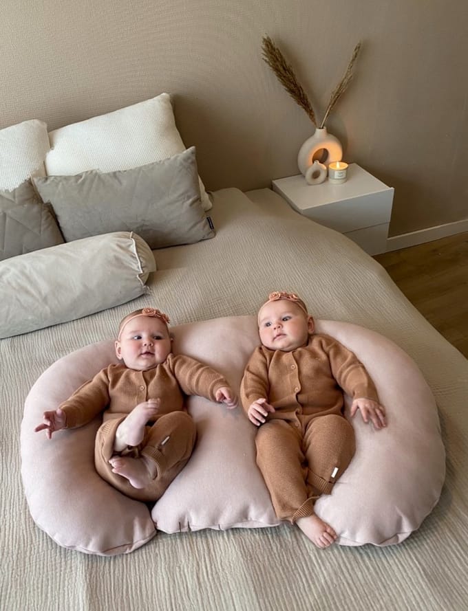 Set van tweeling voedingskussen met afneembare blush voedingskussenhoes