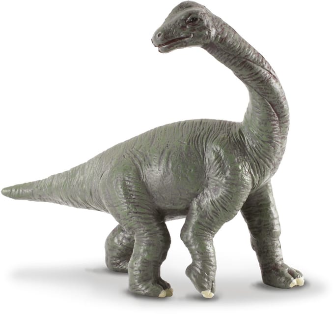 COLLECTA Figurine - Brachiosaurus Baby - (S) - Prehistorie - Handgeschilderd - Dinosaurus - Miniatuur